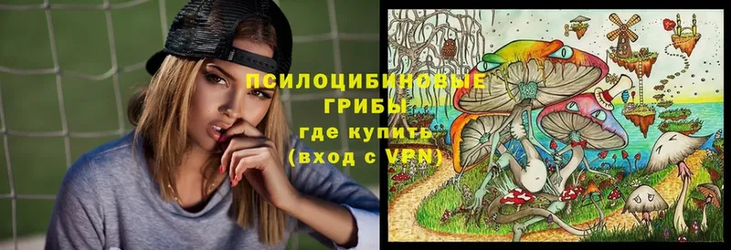 Псилоцибиновые грибы мухоморы  Касимов 